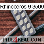 Rhinocéros 9 3500 08